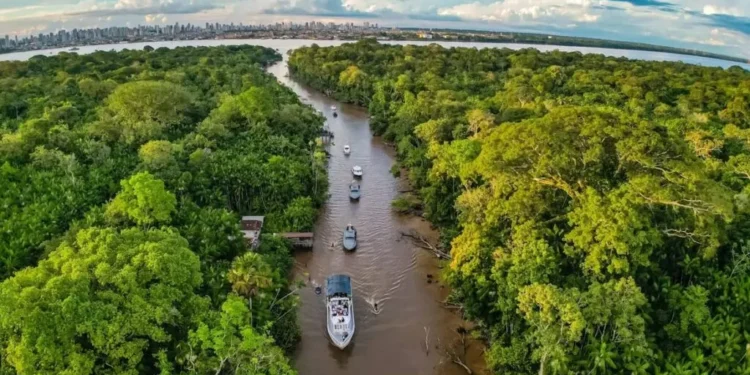 O potencial para a bioeconomia atrai investimentos na região amazônica