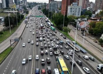 Carros Novos com Placas de Papel: Austeridade de Milei