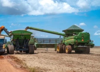 SLC Agrícola lucra R$ 510 milhões no primeiro trimestre de 2025