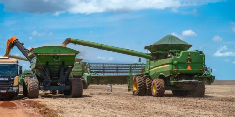 SLC Agrícola lucra R$ 510 milhões no primeiro trimestre de 2025