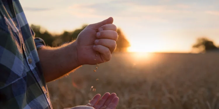 O setor agrícola da União Europeia sofre uma perda anual de 28 bilhões de euros devido ao clima extremo