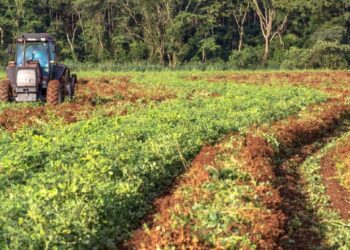 Fiagros indicam recuperação após ano difícil e retorno em 2025 supera 17%