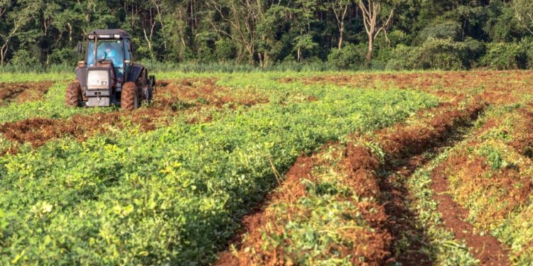 Fiagros indicam recuperação após ano difícil e retorno em 2025 supera 17%
