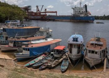 Fundo Amazônia: Impactos do Estímulo na Amazônia