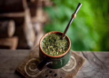 A erva-mate regeneradora, originária do Brasil, Paraguai e Argentina, abastece o mercado americano