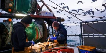 Reino Unido: Acordo Surpreendente com a União Europeia!