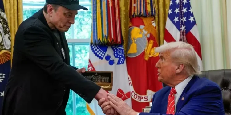 Após briga entre Trump e Musk, as ações dos Estados Unidos caem