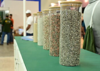 Ceará receberá maior jazida ativa de fosfato e urânio do Brasil com investimento de R$ 3 bilhões