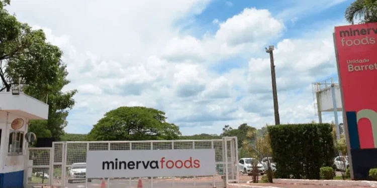Minerva arrecada R$ 1,7 bilhão em aumento de capital e dá início ao processo de subscrição de lucros excedentes