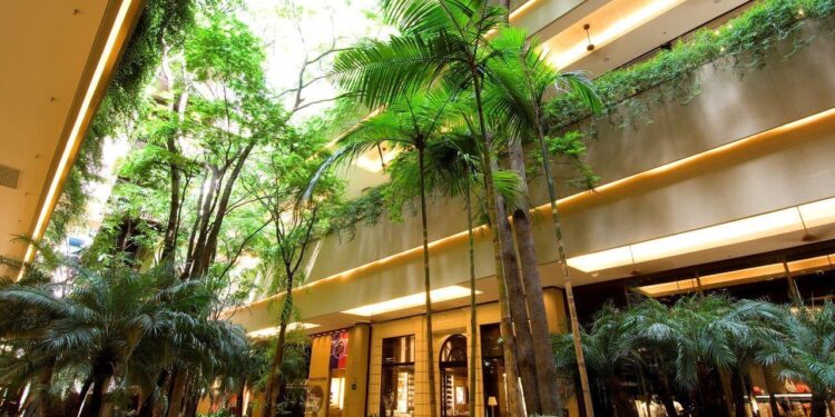 BBIG11: fundo imobiliário triplica seu rendimento e distribui dividendos mensais de 1,08%; entenda os valores