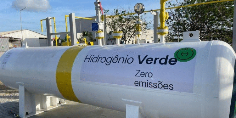 Segundo um investidor europeu, o Nordeste do Brasil é o melhor local do mundo para a produção de hidrogênio verde