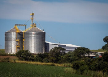 Fiagros promove o fortalecimento do setor agroindustrial como um ator estratégico mundial