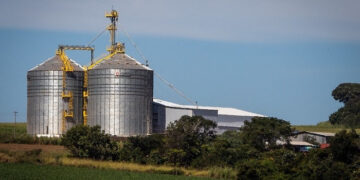 Fiagros promove o fortalecimento do setor agroindustrial como um ator estratégico mundial