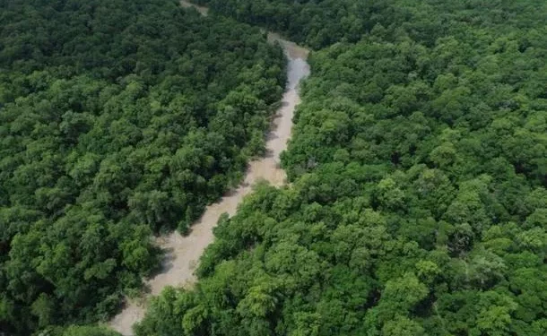 China planeja investir no Fundo Florestal sugerido pelo Brasil