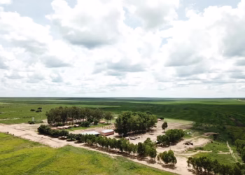 Fazenda localizada no nordeste do Brasil é adquirida por R$ 141,4 milhões