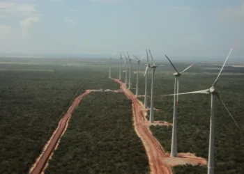 Brasil tem potencial para ser líder na transição energética