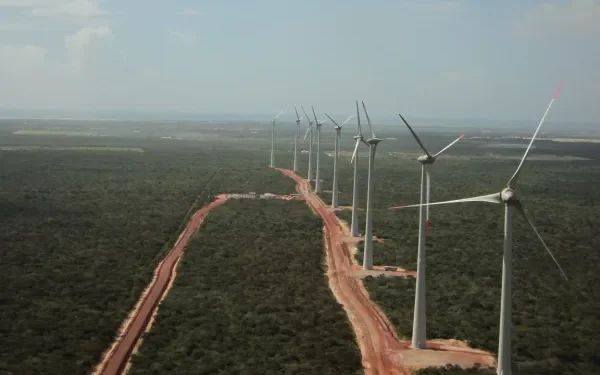 Brasil tem potencial para ser líder na transição energética