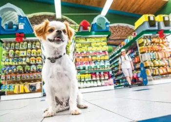 O mercado pet do Ceará fatura R$ 2,5 bilhões e ocupa a liderança no Nordeste