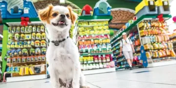 O mercado pet do Ceará fatura R$ 2,5 bilhões e ocupa a liderança no Nordeste