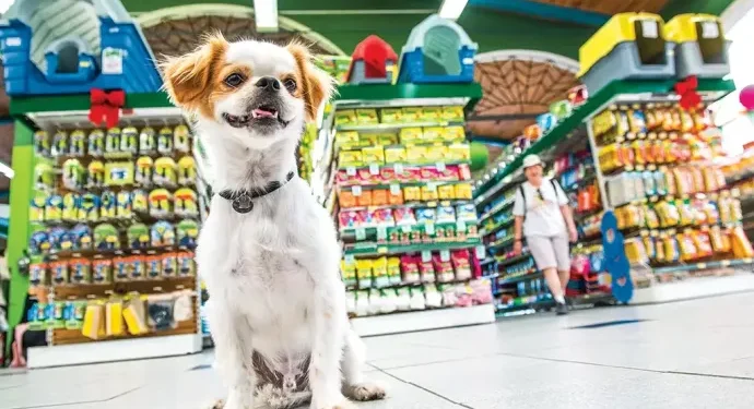 O mercado pet do Ceará fatura R$ 2,5 bilhões e ocupa a liderança no Nordeste