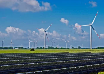 Curtailment: cortes na produção de energia atingem recorde e acendem alerta no Ceará