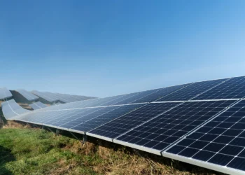 SNEL11: como as decisões acertadas permitiram que o fundo se sobressaísse no segmento de energia