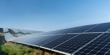 SNEL11: como as decisões acertadas permitiram que o fundo se sobressaísse no segmento de energia