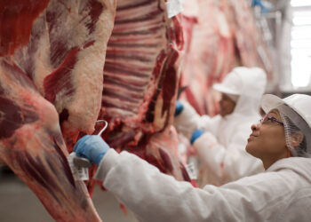 O valor da carne brasileira nos Estados Unidos deve subir 76%