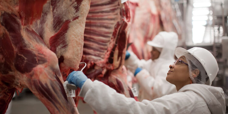 O valor da carne brasileira nos Estados Unidos deve subir 76%