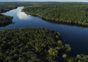 Boston Consulting afirma que a regeneração de paisagens na Amazônia pode gerar até R$ 116 bilhões em investimentos