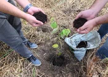 Estudo aponta que Brasil pode perder 18% do PIB até 2050 devido à crise climática