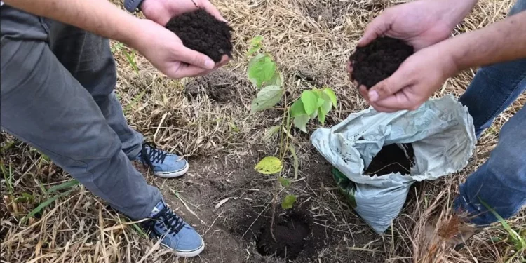 Estudo aponta que Brasil pode perder 18% do PIB até 2050 devido à crise climática