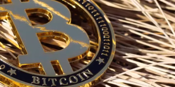 Bitcoin se consolida Acima de US$ 118 mil enquanto Altcoins ganham espaço
