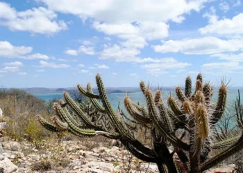 Corte Mundial da ONU afirma que as mudanças climáticas representam uma “ameaça existencial”