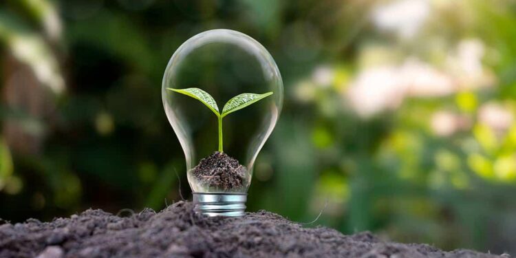 A transição verde depende do sistema financeiro
