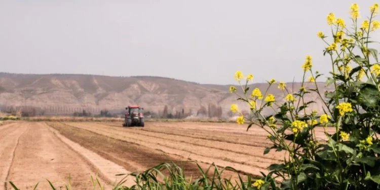 SNAG11 atinge novo recorde histórico durante ciclo propício para o agronegócio