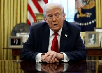 O progresso da energia limpa nos Estados Unidos perde impulso após a redução de subsídios por Trump