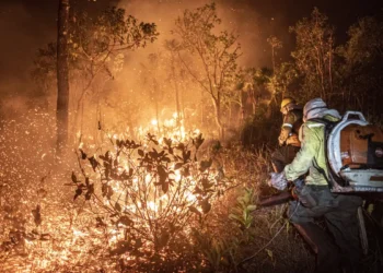 Os incêndios florestais recordes consumiram mais de 1 milhão de hectares de terras da UE neste ano