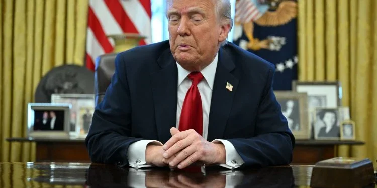 Efeito Trump no investimento verde deve ser passageiro, porém existem preocupações quanto a uma possível diminuição
