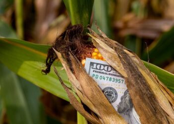 CNA diz aos EUA que o agro é guardião dos recursos naturais do Brasil