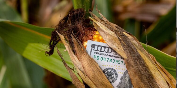 CNA diz aos EUA que o agro é guardião dos recursos naturais do Brasil