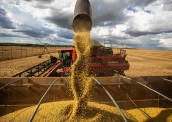 Economia do Nordeste foi impulsionada por cargas de minério, petróleo e soja no primeiro semestre