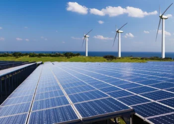 Empresa do Ceará investe em energia limpa e se torna pioneira na América Latina