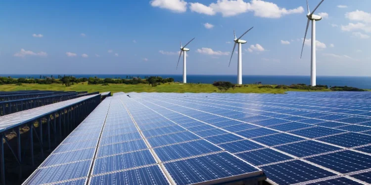Empresa do Ceará investe em energia limpa e se torna pioneira na América Latina