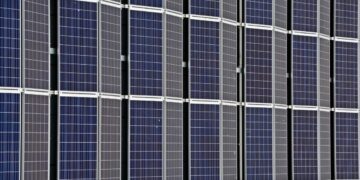 A energia renovável já é uma realidade: SNEL11 demonstra como o setor pode ser lucrativo