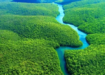 Lula, Petro e Arce solicitam medidas globais na COP30 para salvaguardar a Amazônia