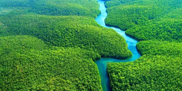Lula, Petro e Arce solicitam medidas globais na COP30 para salvaguardar a Amazônia