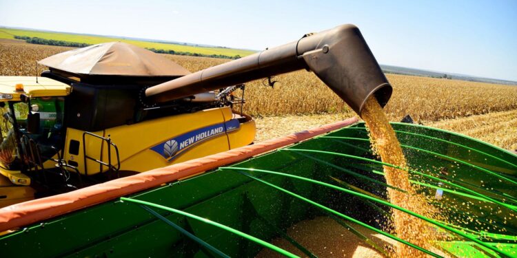 Após o aumento da inadimplência, a Caixa considera um “grande desafio” para o setor agro