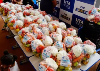 Frutas Rejeitadas da Ceasa Transformam-se em Energia Sustentável em Iniciativa da Embrapa e UFC