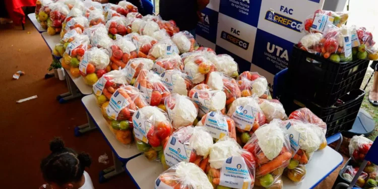 Frutas Rejeitadas da Ceasa Transformam-se em Energia Sustentável em Iniciativa da Embrapa e UFC